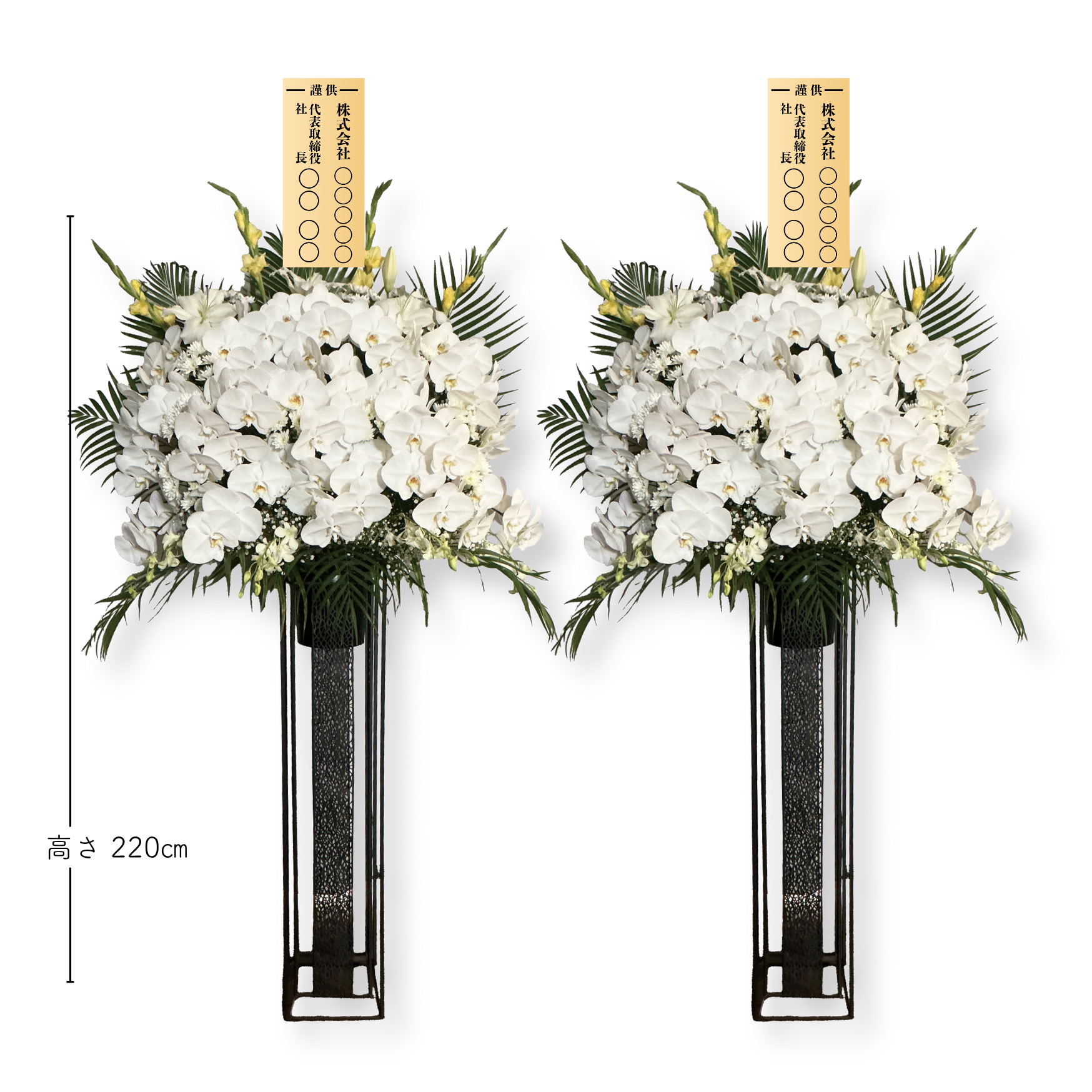 【胡蝶蘭】２０万円供花　１対(２本)