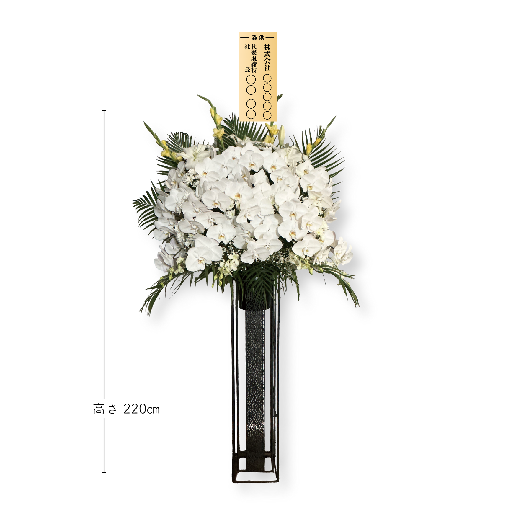 【胡蝶蘭】１０万円供花　１基(１本)